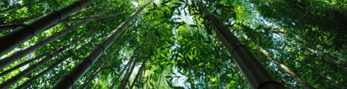 sustainability